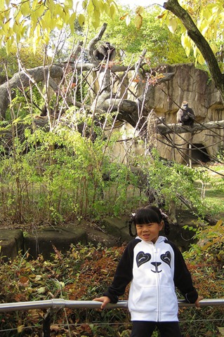 [IMG_6881%255B4%255D.jpg]