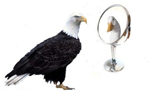 Eagle_Duck_Mirror