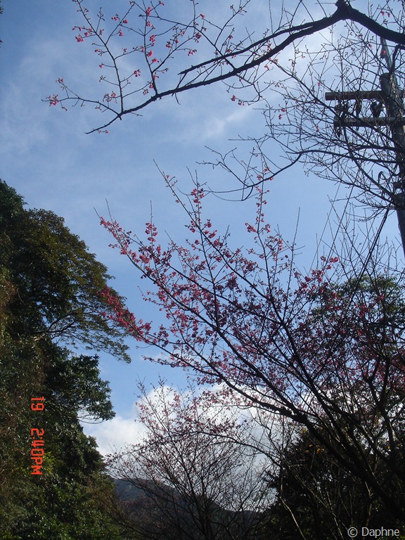 [DSC09037%255B4%255D.jpg]