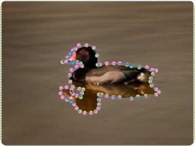 gimp pato1 gimp pato1
