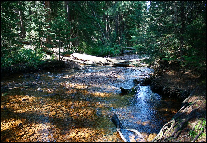 Bighorn Creek Trail 7-23-12 (71)