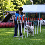 IMG_5018.JPG