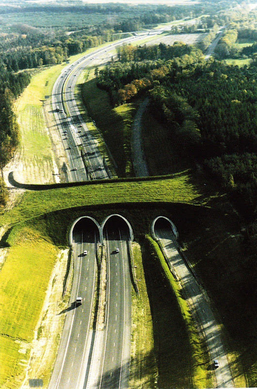 wildlife-crossings-1 wildlife-crossings-1
