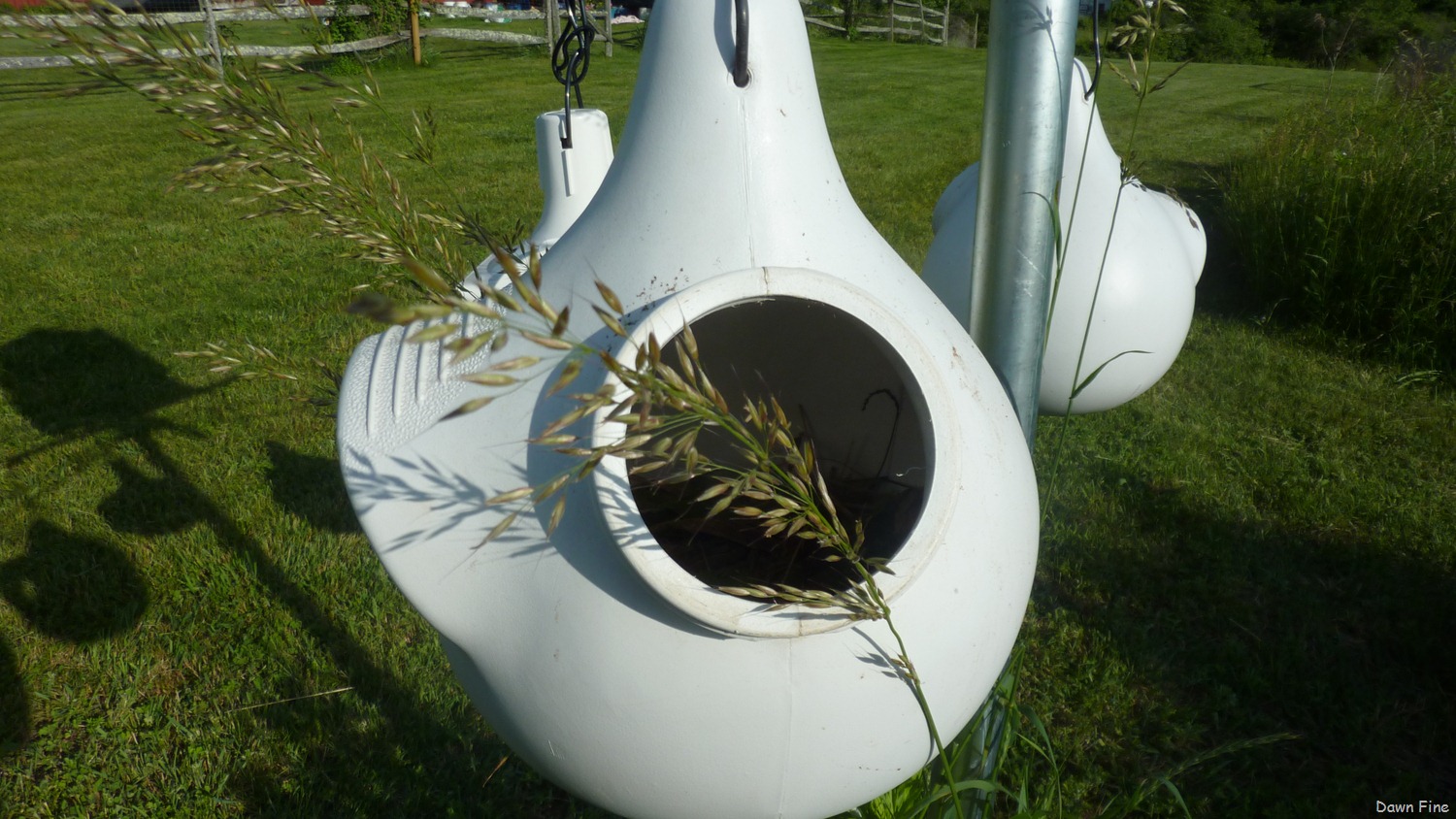 [around-mom-and-dads_0193.jpg]