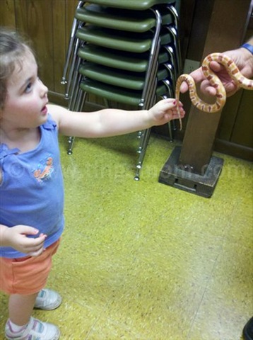 [IMG_20120516_122848%255B3%255D.jpg]