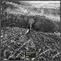 Machinedrum_Vapor City Machinedrum_Vapor City