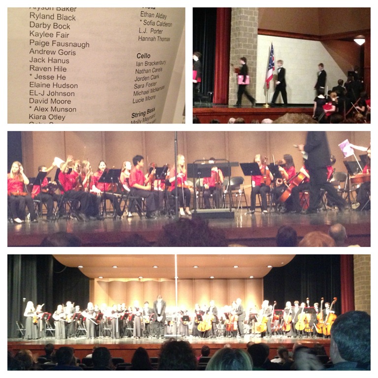 [orchestraconcert%255B3%255D.jpg]