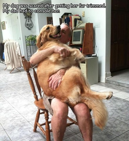 [awesome-pet-owners-19%255B2%255D.jpg]