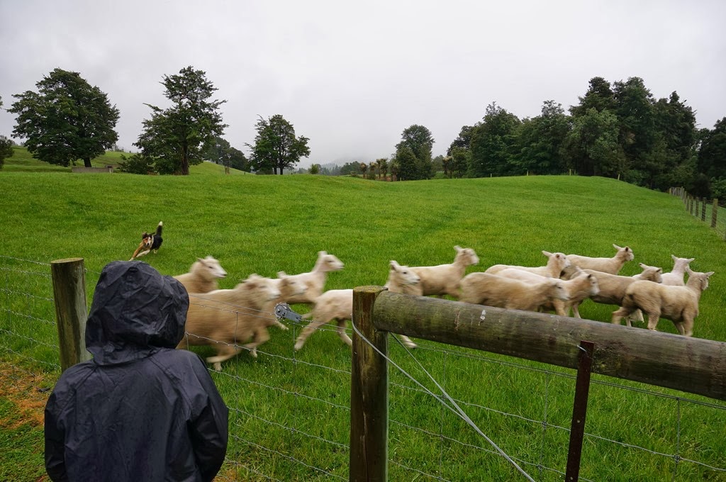 [DSC06170%255B5%255D.jpg]