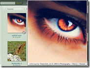 Addon Firefox e Chrome per ingrandire foto dei siti internet con il puntatore del mouse
