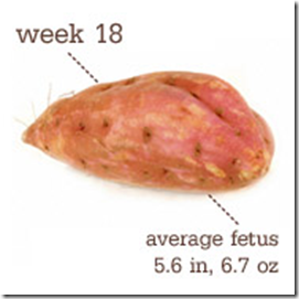 week 18