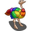 rainbow ostrich