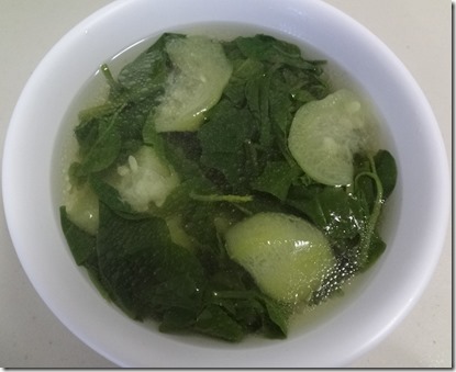 canh muop canh muop