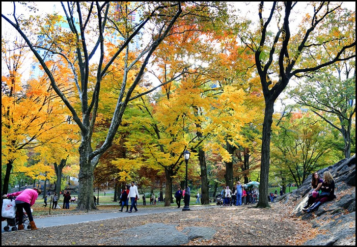 Central Park 11-2013 (41)