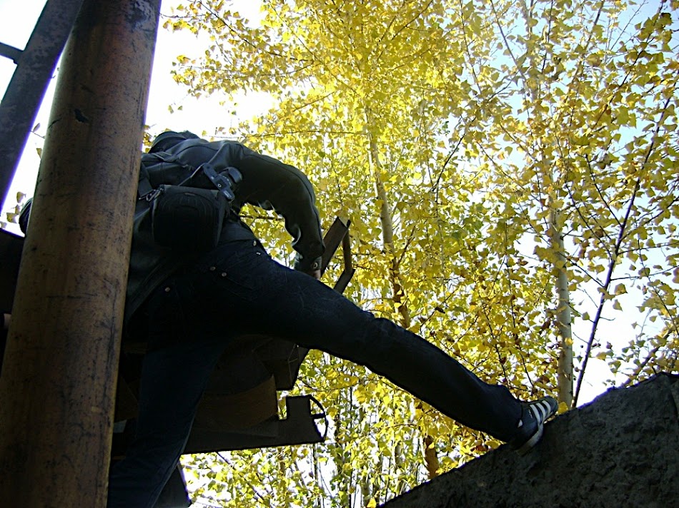 2010-10-26 214408 z_b90c4307.jpg