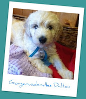 Gorgeousdoodles Dalton 2012