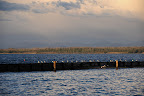 DSC_2592.JPG