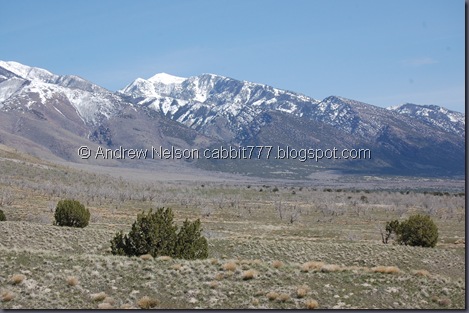 DSC_0570 DSC_0570