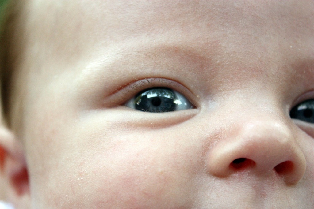 [IMG_1406b%255B4%255D.jpg]