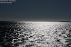 Sun on the water