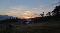 DSC00699.JPG Photo
