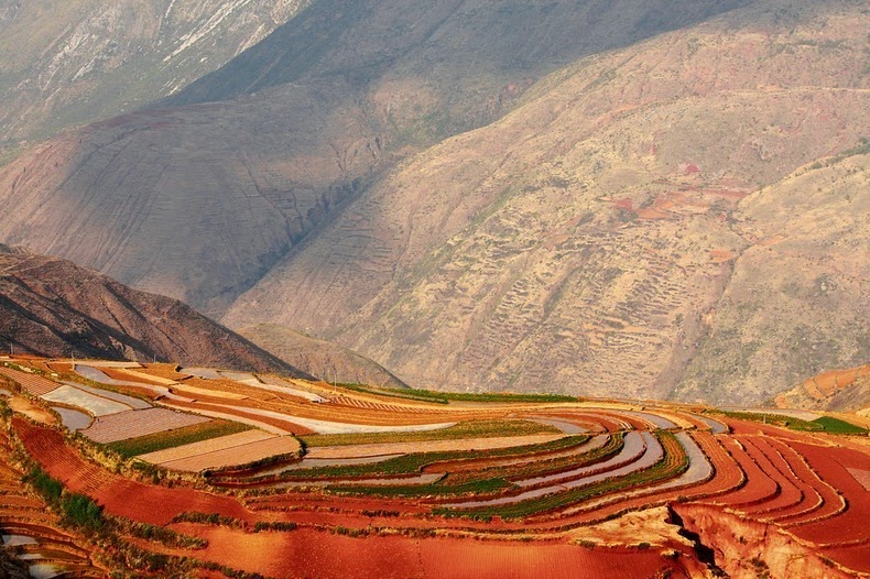 dongchuan-red-soil-12