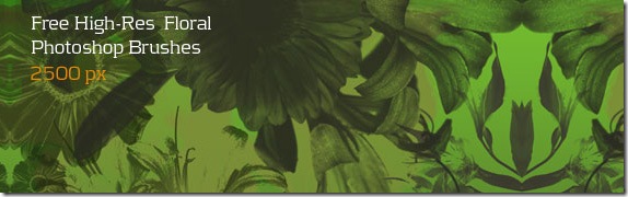 floral_brushes_for_photoshop-free-hi-res-photoshop-brushes-floral floral_brushes_for_photoshop-free-hi-res-photoshop-brushes-floral