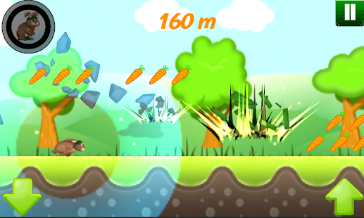 download Bunny Run 2D free