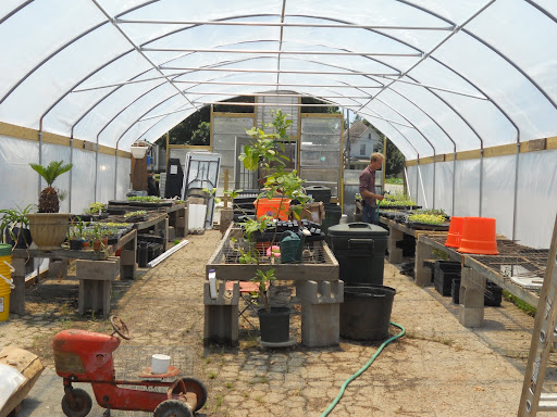 Inside the greenhouse. Intern Kyle Huff is tending to the transplats.
(Photo credit: Samuel Crowe)