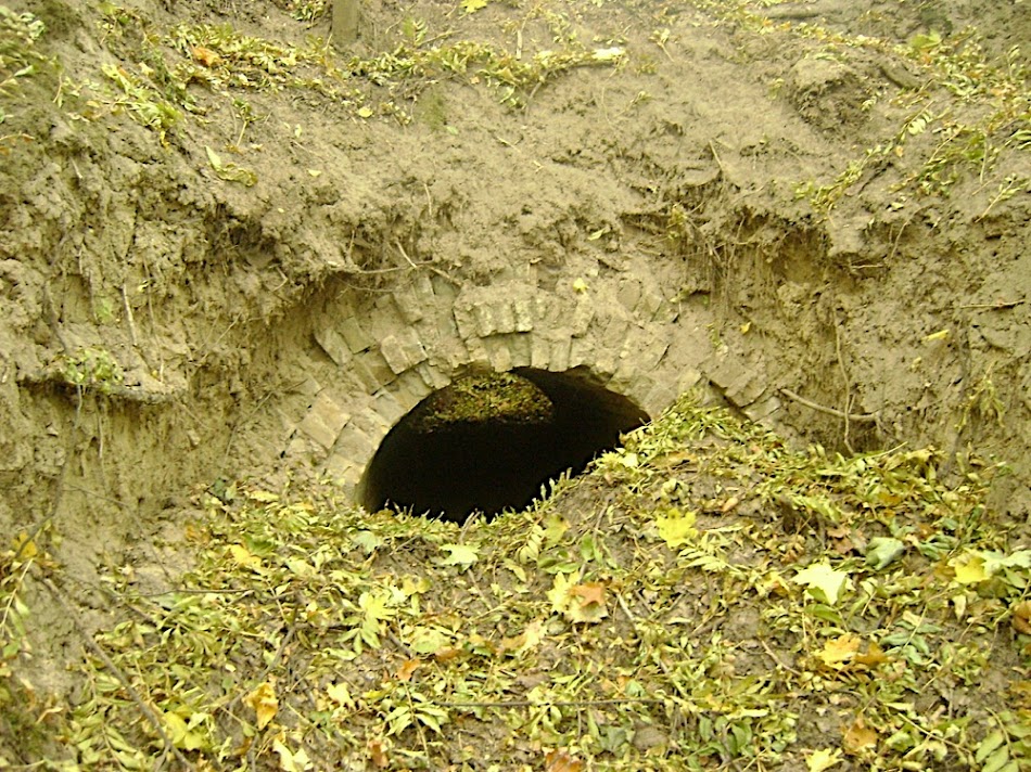 2010-10-16 234855 z_6d438911.jpg