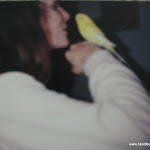 Old Budgie Pics 036.JPG