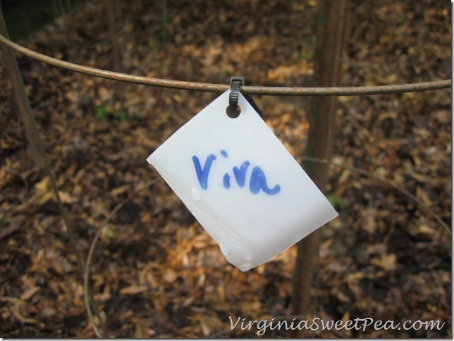 DIY Plant Marker DIY Plant Marker
