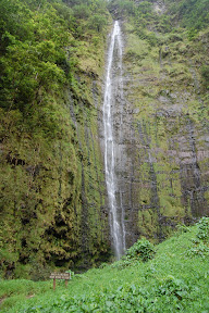 DSC_0396.jpg
