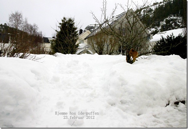 001_thumb[1]