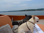 I just love the feeling of the air through my fur and all of the salt air smells!  Don't you, Franny?