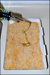 add olive oil add olive oil