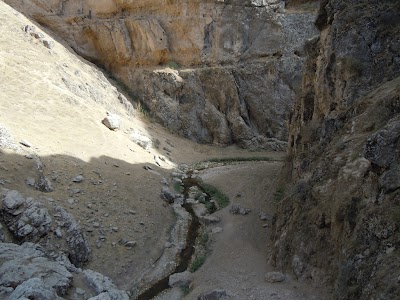 DSCN3957.jpg