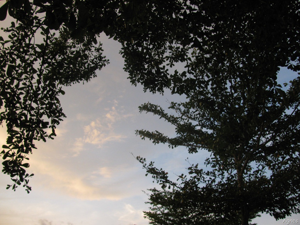 [IMG_78693.jpg]