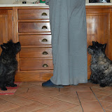 Guardando la chef:Red's Flame Morositas & Call Me Coco Chanel