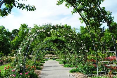 [DSC_0148%255B9%255D.jpg]