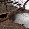 dsc05395.jpg