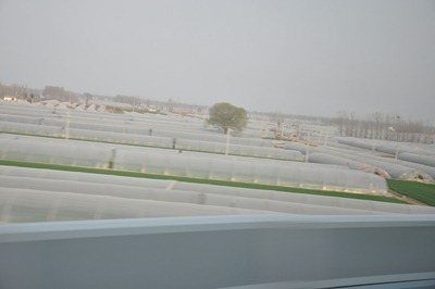[DSC_0494%255B3%255D.jpg]