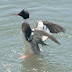 20130406-dsc_8883