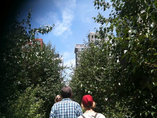 The Chelsea Thicket on The High Line.