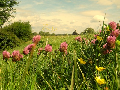 Severn Way Stage 23 220511 016 Severn Way Stage 23 220511 016