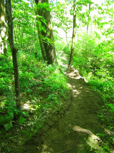 Trail tuneage on the singletrack