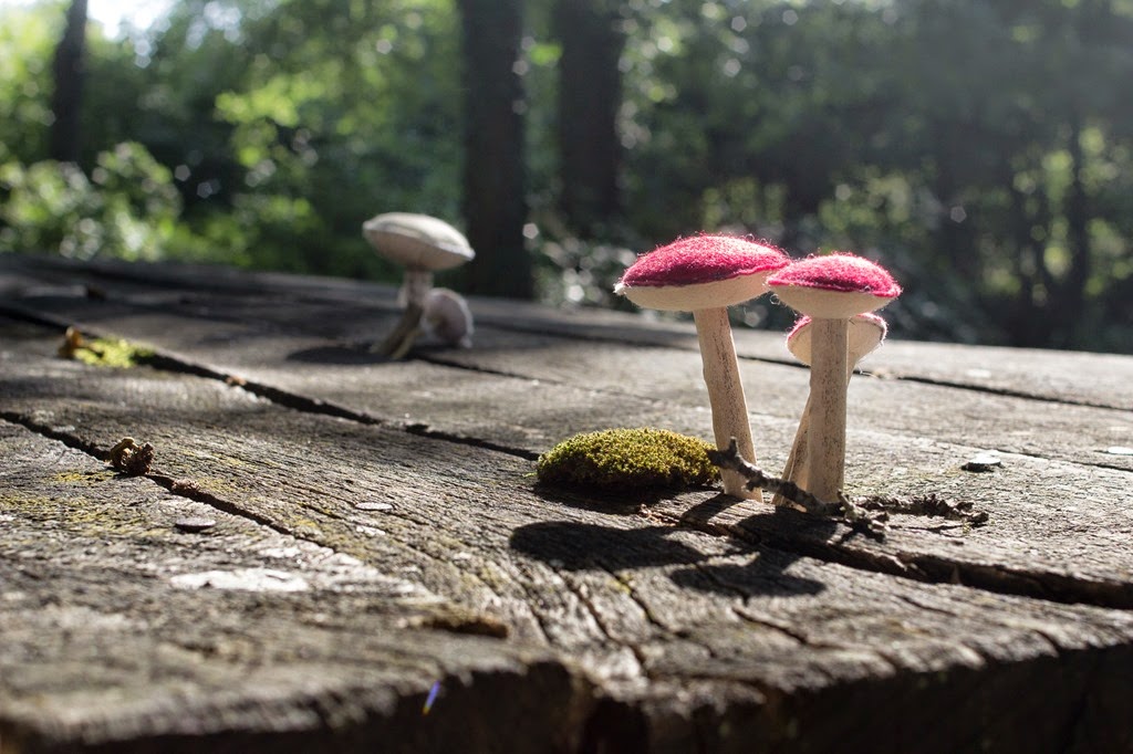 [FUNGHI%2520VERO%2520FALSO-015%255B4%255D.jpg]