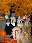 In fact, they each look pretty happy and thankful- they all agree that indulging mama Faye around the holidays is a small price to pay for a happy forever home!