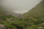 Blossoming valley