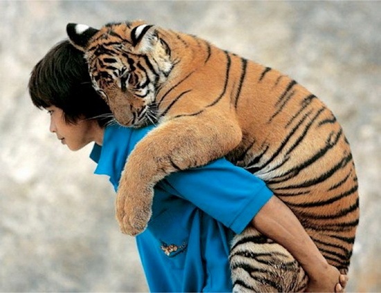 [animals-and-humans_12%255B2%255D.jpg]